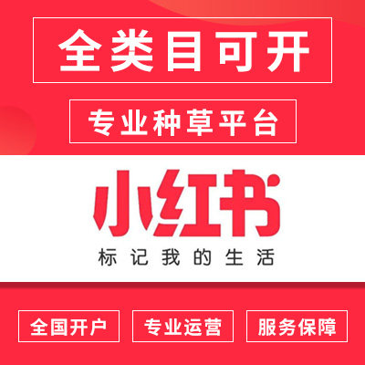 投放广告/信息流开户竞价搜索/小红书企业号笔记达人合作投流代投