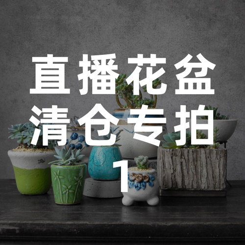 创意陶瓷花盆多肉花盆