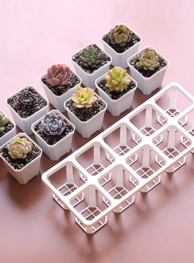 壹分皿白色加厚塑料小方盆塑料盆白盆托架多肉植物花盆多肉小花盆