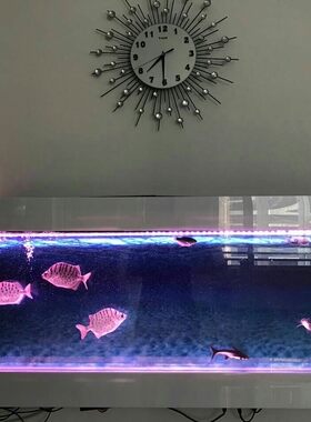 台式墙壁亚克力金鱼缸水族箱厂销