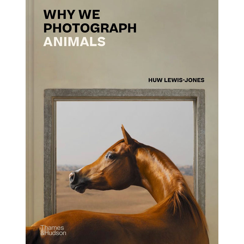 【现货】英文原版Why We Photograph Animals我们为什么拍摄动物Thames And Hudson Ltd  Huw Lewis-Jones摄影艺术书籍