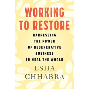 利用再生商业 Restore 预售 Chhabra Beacon 努力恢复 Press 力量来拯救世界经管书籍 英文原版 Esha Working