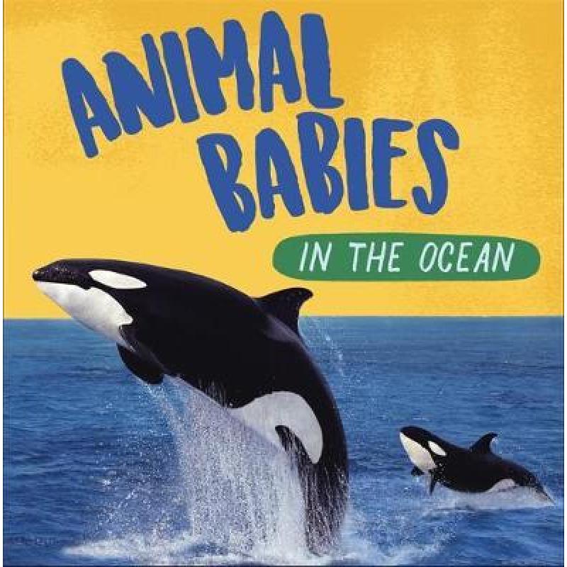 【预售】英文原版 Animal Babies In the Ocean动物婴儿在海洋中 Sarah Ridley课外读物观察小动物学习成长科普知识大全儿童书籍