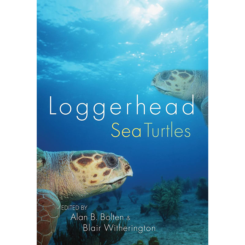 【预售】英文原版 loggerhead sea turtles 红海龟 alan b bolten