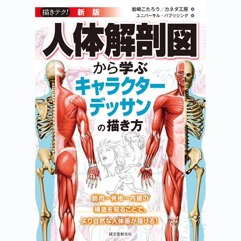 人体解剖図新版艺术绘画书籍