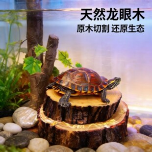 龙眼木乌龟晒台爬台晒背台龟缸造景天然躲避养龟专用垫脚歇脚休息