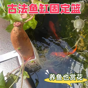 鱼缸绿植挂篮水培红薯篮水培定植篮造景装饰配件古法鱼缸水培挂篮