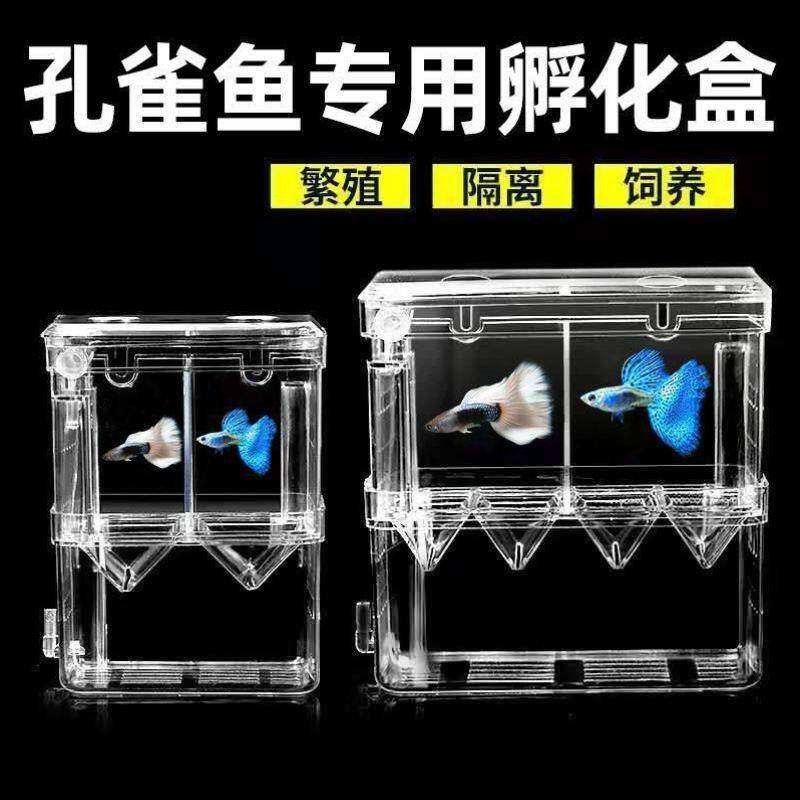 森森孔雀鱼繁殖盒幼鱼鱼缸隔离斗鱼鱼苗产卵器热带鱼亚克力孵化盒