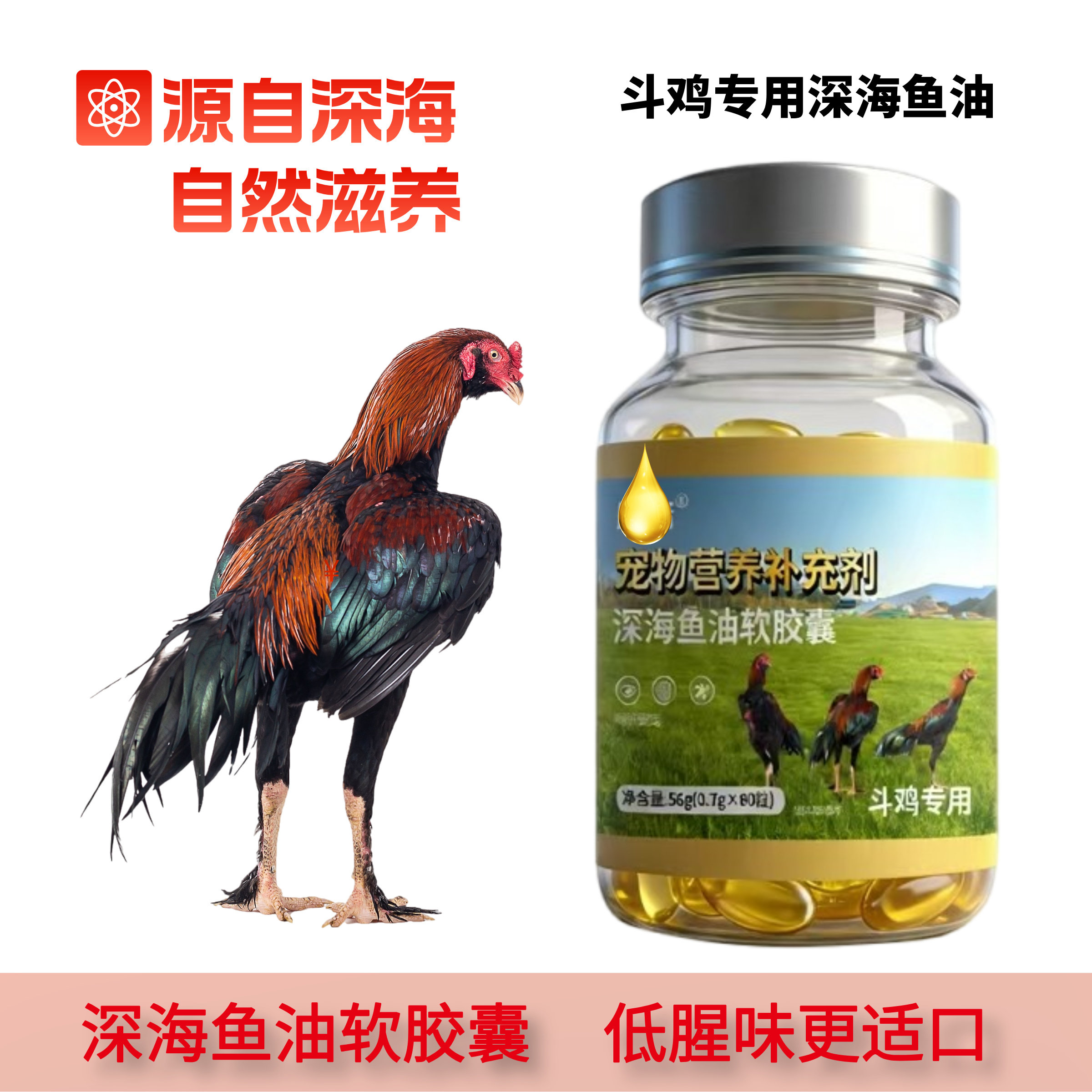 斗鸡专用鱼肝油浓缩深海鱼