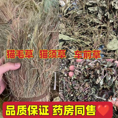 潮汕中药材 降拍酸茶套装 车前草+金丝草+猫毛草 干货现货