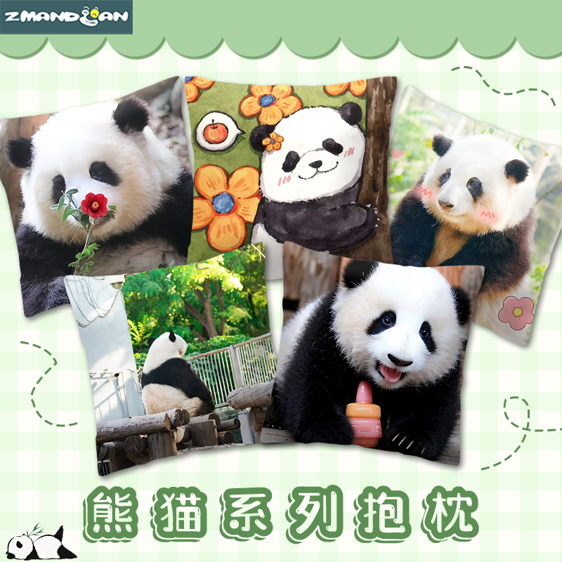 花花萌兰福宝可爱枕头双面图案