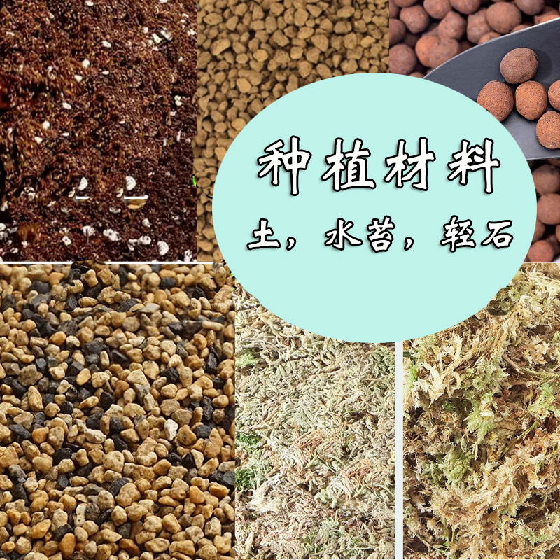 微景观生态瓶苔藓种植土