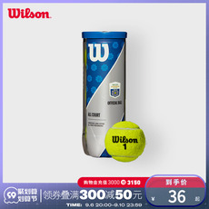 теннисный мяч wilson威尔胜上海大师赛专用网球2022年新款网球配件3只组合罐装