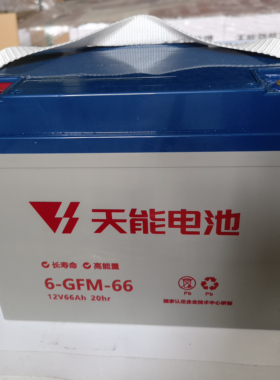 天能电池6-GFM-66叉车汽车电动车电瓶12V66AH特种牵引动力电瓶