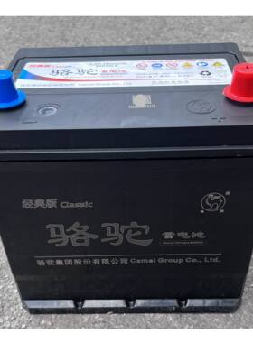 6-QW-88min(500) 骆驼55D23LX 电瓶12V60Ah 免维护汽车启动蓄电池