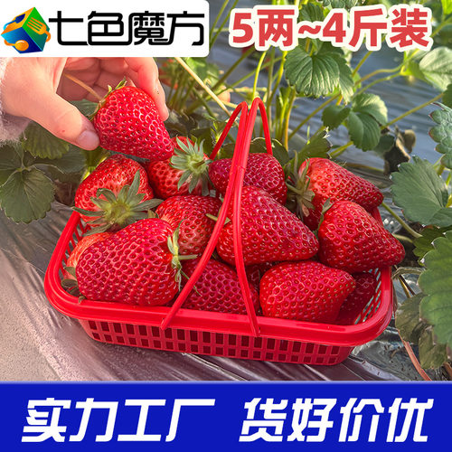 草莓杨梅水果篮批发塑料篮子手提