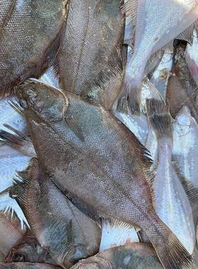 大连野生偏口鱼比目鱼新鲜冷冻海鱼小扁口鱼多宝鱼海鲜水产4斤