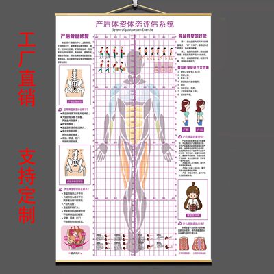 产后康复体态评估图修矫