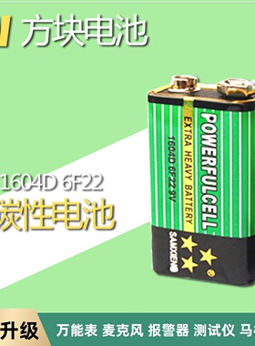 9V电池6F22/1604D纽扣体温枪万能表遥控器报警器话筒麦克风扩音器