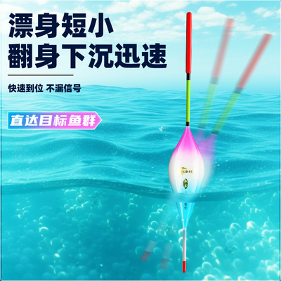打浮漂浅水漂小短漂冰钓水皮漂
