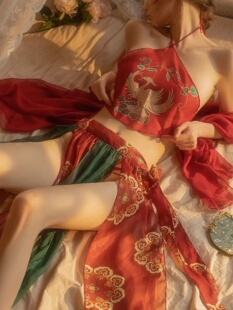 西域舞姬异域风情服装性感古装吊带敦煌飞天汉服女装女款纯欲套装