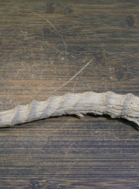 11号 新疆哈密地表羊角