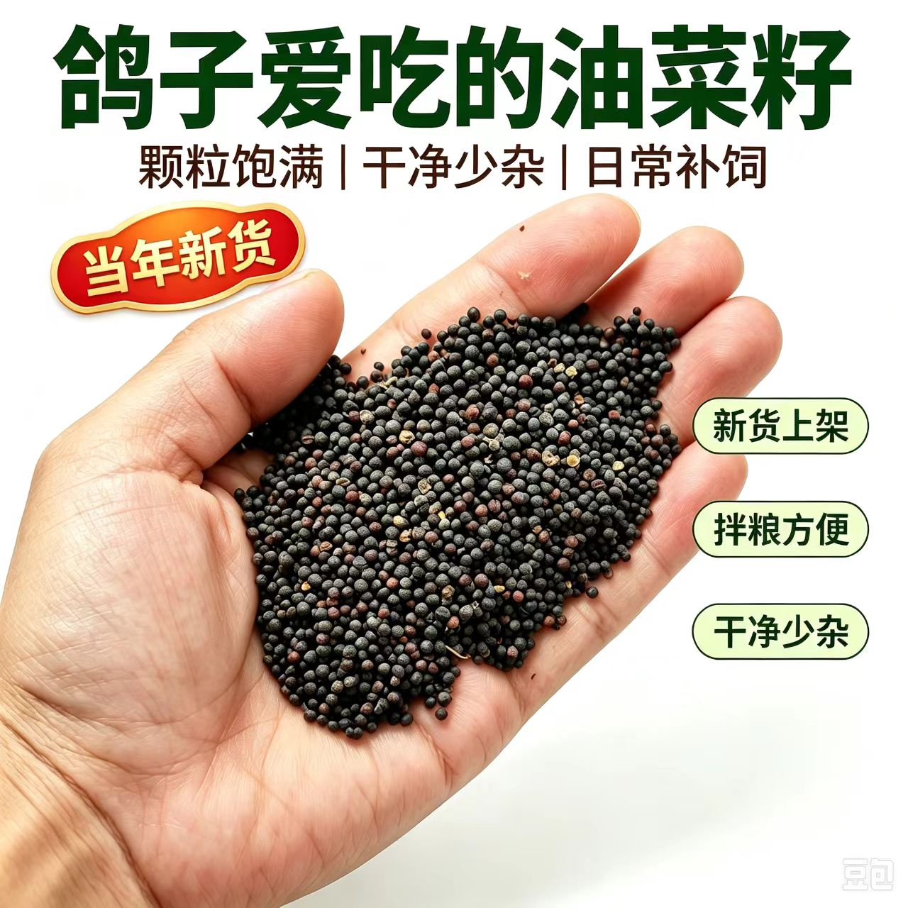 油菜籽鸟粮颗粒饱满干净少杂鸽子爱吃的营养鸽粮通用型营养鸟粮食