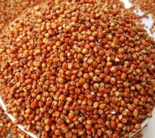 新高脱皮酿醋喂鸽子鸟粮半斤饲料