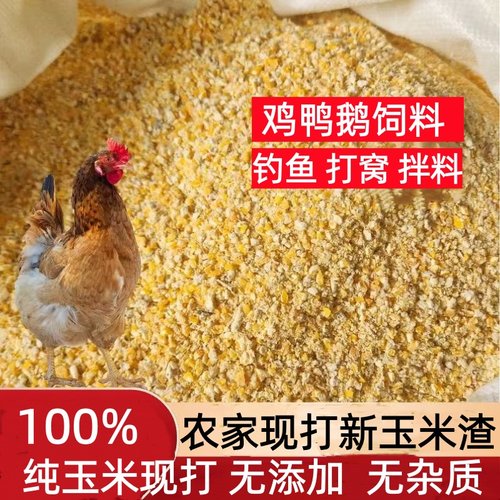 农家玉米碎喂鸡玉米渣鸡饲料