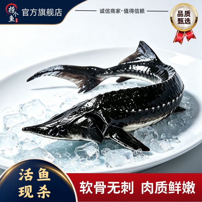 养殖鲟鱼活鱼现杀冷链保鲜包邮