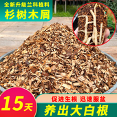 精筛兰花专用土壤纯杉木屑石斛种植料新型兰科营养土 天然兰花土