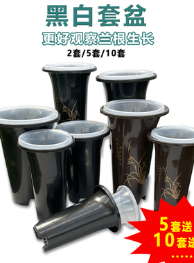 绿兰兰花盆黑白套盆透明盆塑料兰花专用盆加厚透气高兰草盆控根盆