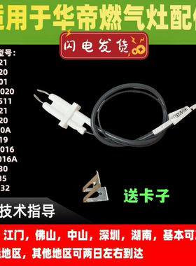 适用华帝燃气灶8E21/8C21/8E20/ WB8020/8E30/8E35/8E32点火针