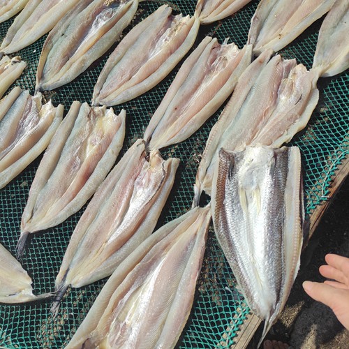 葵龙片鱼干开片葵龙鱼干北海特产海鲜干货鱼干微咸鱼干