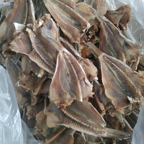 石斑鱼干大头鱼咸鱼干开片水产微咸鱼干北海特产海鲜干货渔民自晒