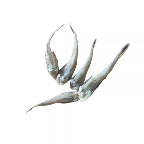 沙甲鱼干北海特产海鲜干货鱼干微咸鱼干