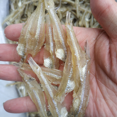 小鱼干干货微白饭鱼晒原味白凡鱼水晶鱼银鱼仔北海特产海鲜