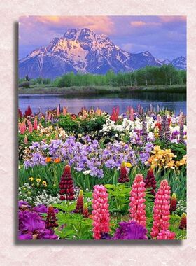 花海雪山数字油画diy填色手绘客厅高级装饰画打发时间减压神器