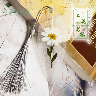 真叶真花天然干花带枝白晶菊叶脉书签创意简约送学生老师礼物定制