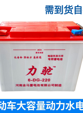 12V80Ah金马水电瓶工程电动三轮车工地60v蓄电池组铅酸牵引车专用