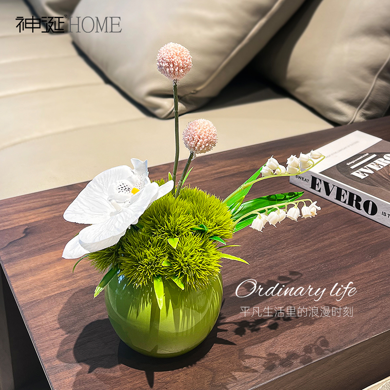 【设计师款蝴蝶兰】高颜值盆栽花