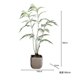 中式日式北欧造景仿真金毛狗蕨桫椤树茶室茶楼会所日料餐厅绿植u.
