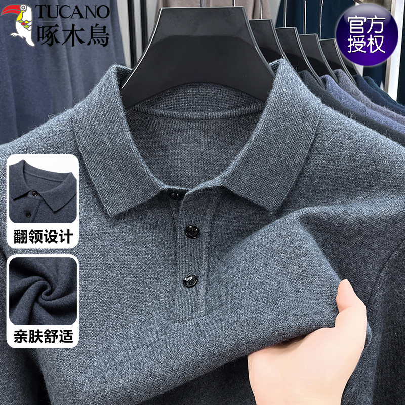 啄木鸟长袖羊毛polo衫男针织打底