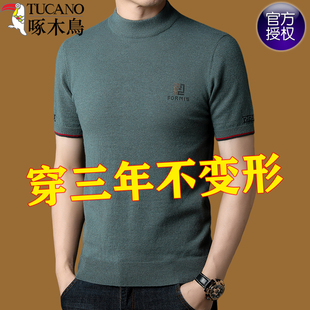 啄木鸟秋冬薄款短袖打底衫男中青年半高领毛衣半袖百搭针织衫男
