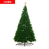 5 -метровое обнаженное дерево