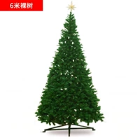 6 -метровое обнаженное дерево