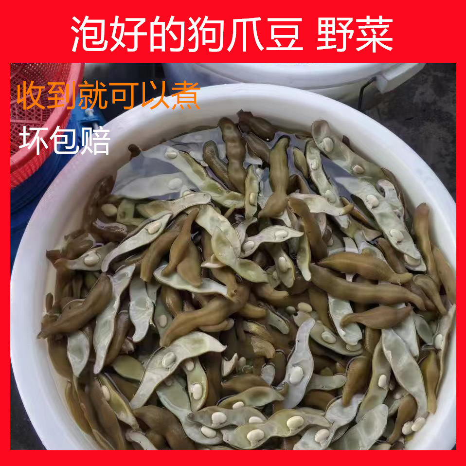 新鲜狗爪豆老虎豆客家菜