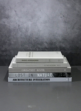 灰色简约外文书样板房装饰真书静物拍照摄影道具书房陈列摆件