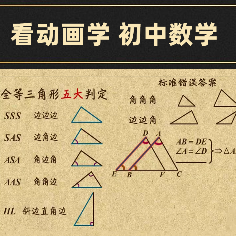 看动画学初中数学789年级乐乐课堂天天练VIP视频课程+习题PDF