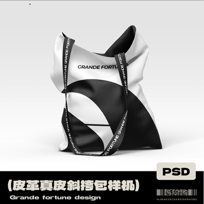 【2款】托特斜挎购物袋环保袋可改色freitag样机素材杜邦纸牛皮ps